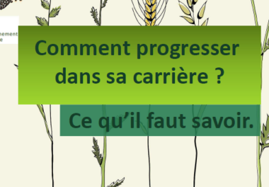Comment progresser dans sa carrière ?