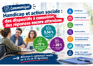 Groupe de travail « Handicap et action sociale » du 15 octobre 2026